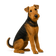 Airedale Terrier