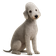 Bedlington Terrier