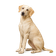 Billy