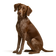 Braco del Borbonesado