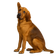 Chien de Saint Hubert