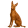 Cirneco del Etna