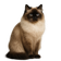 Himalayo
