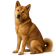 Hokkaido