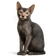 Lykoi