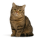 Minuet