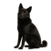 Perro de Osos de Carelia