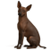 Perro Sin Pelo del Perú