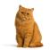 Persa