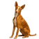 Podenco Ibicenco