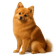 Pomerania