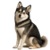 Pomsky
