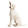 Porcelaine