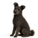 Pumi