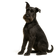 Schnauzer Gigante