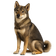 Shikoku