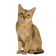 Singapura