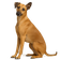 Sloughi