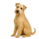 Soft Coated Wheaten Terrier Irlandés