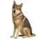 Tamaskan