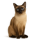 Thai