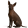 Xoloitzcuintle